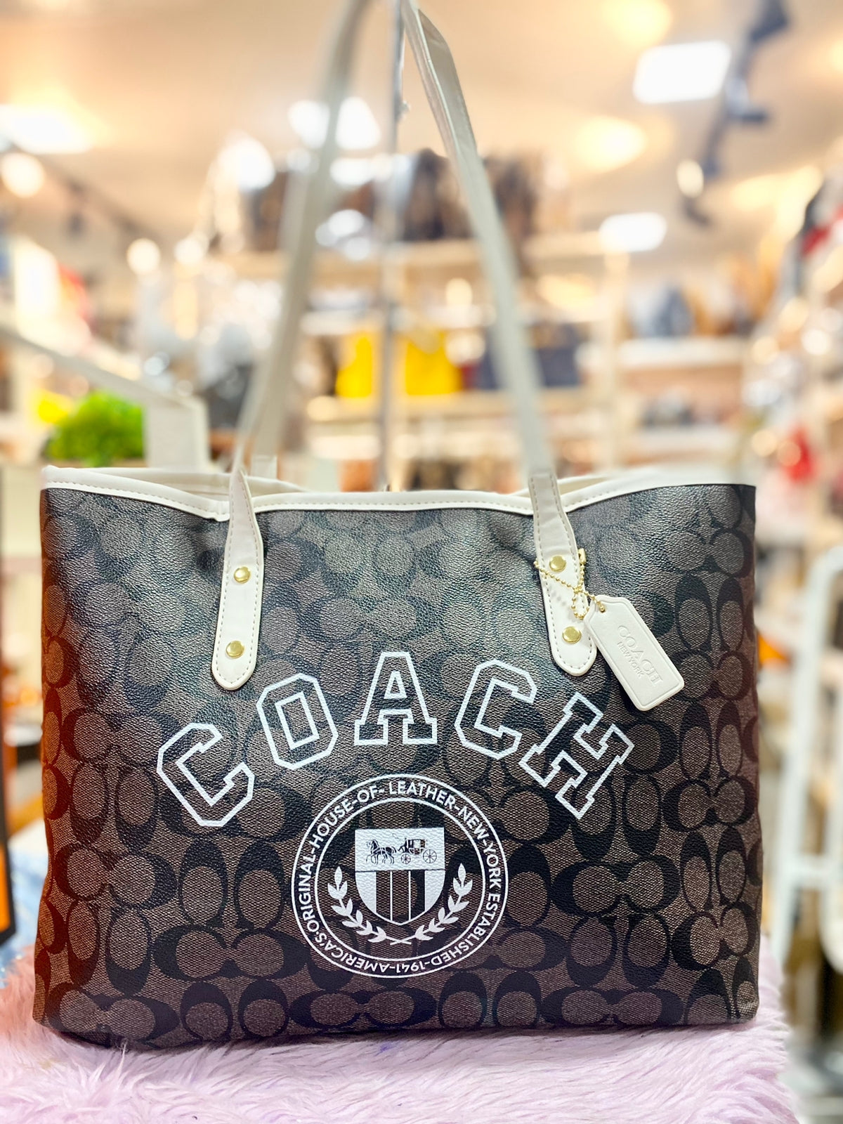 neverfull coach bag